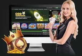 সদস্য লগইন প্রক্রিয়ার 640app ভিজ্যুয়াল